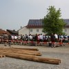 Maibaum 2013